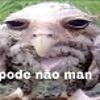 foto do perfil jon27am